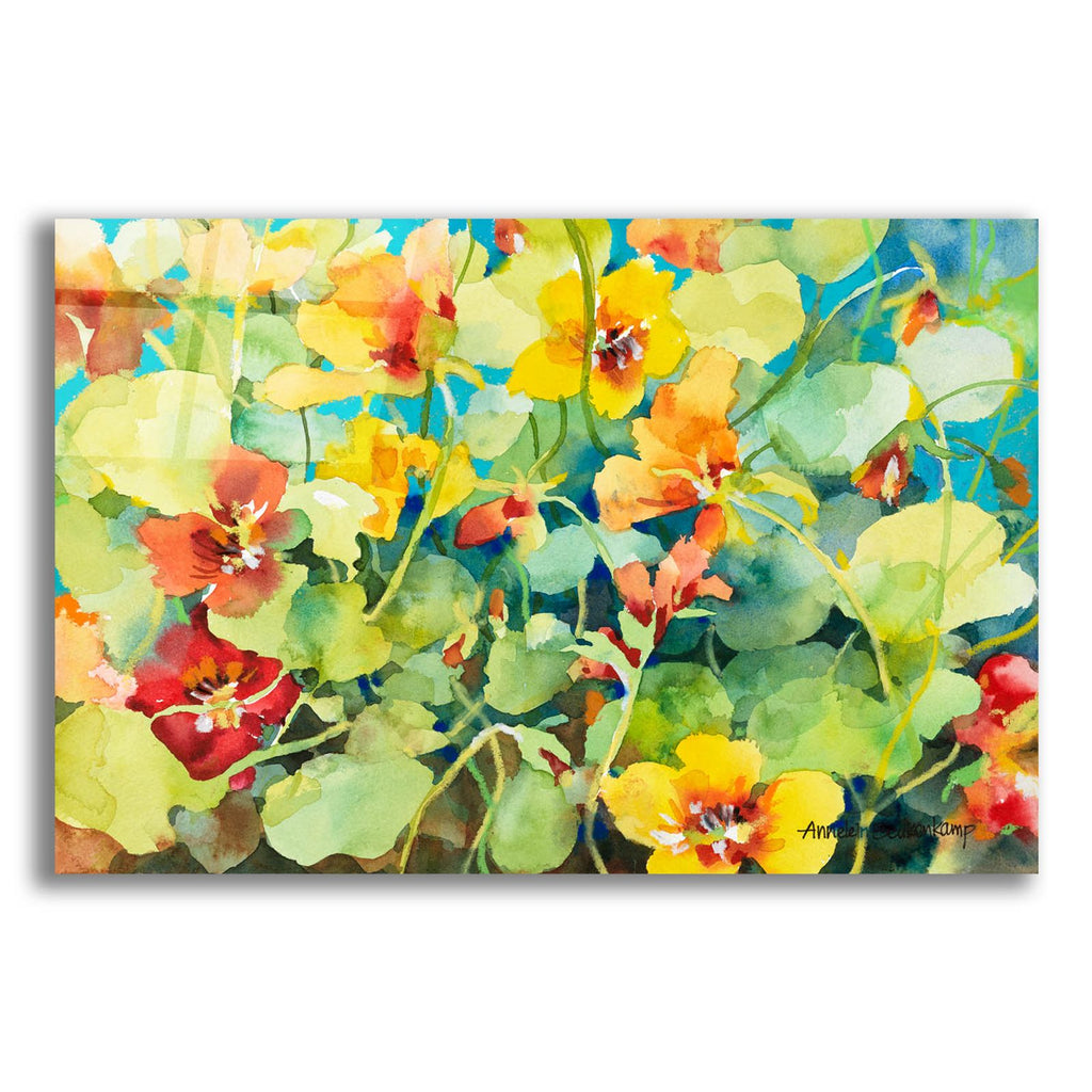 Nasturtium Nest by Annelein Beukenkamp acrylic glass wall art