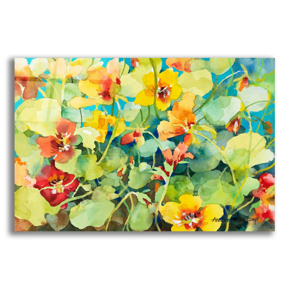 Nasturtium Nest by Annelein Beukenkamp acrylic glass wall art