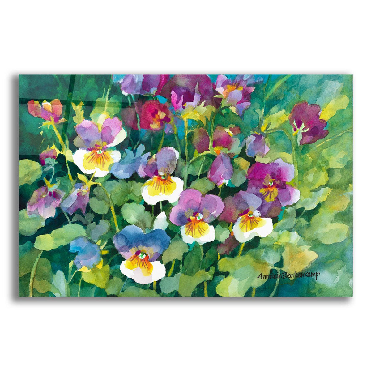 Pansies Primping by Annelein Beukenkamp acrylic glass wall art
