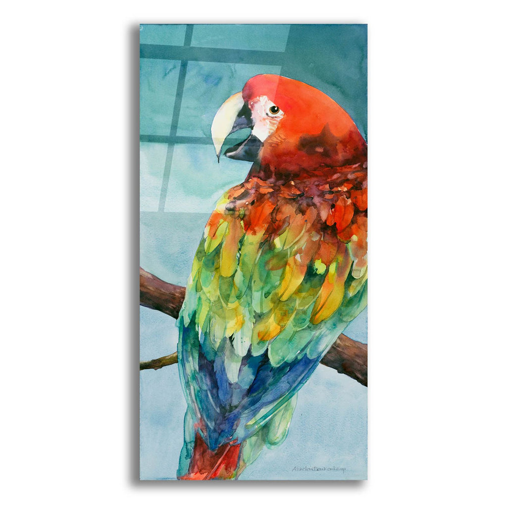 Parrot by Annelein Beukenkamp acrylic glass wall art