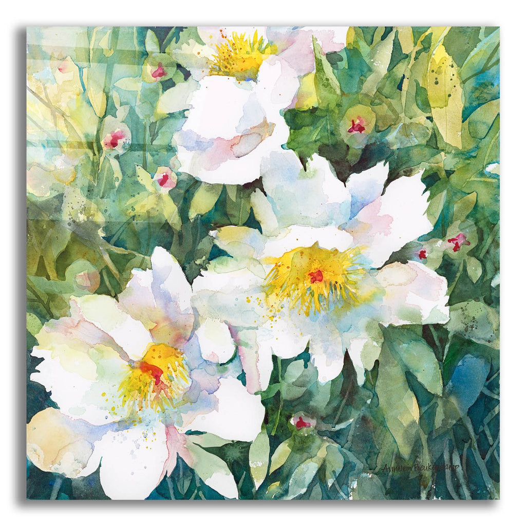 Pristine Peonies by Annelein Beukenkamp acrylic glass wall art
