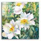 Pristine Peonies by Annelein Beukenkamp acrylic glass wall art
