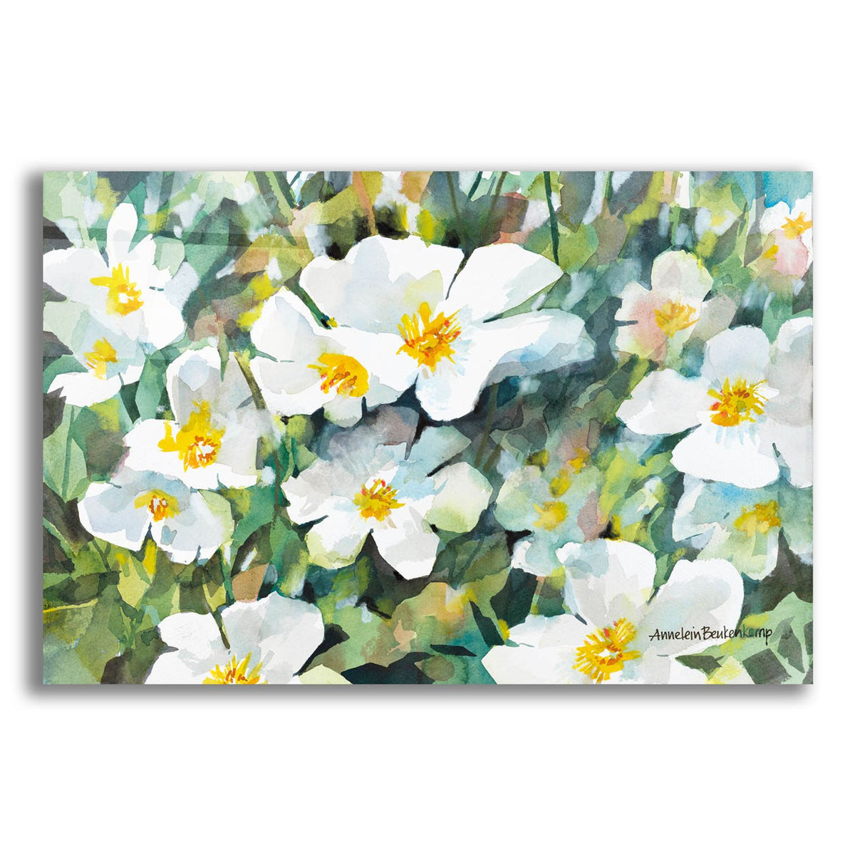 Pure Petals by Annelein Beukenkamp acrylic glass wall art