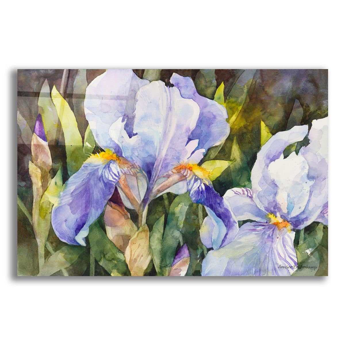Purple Iris Closeup by Annelein Beukenkamp acrylic glass wall art