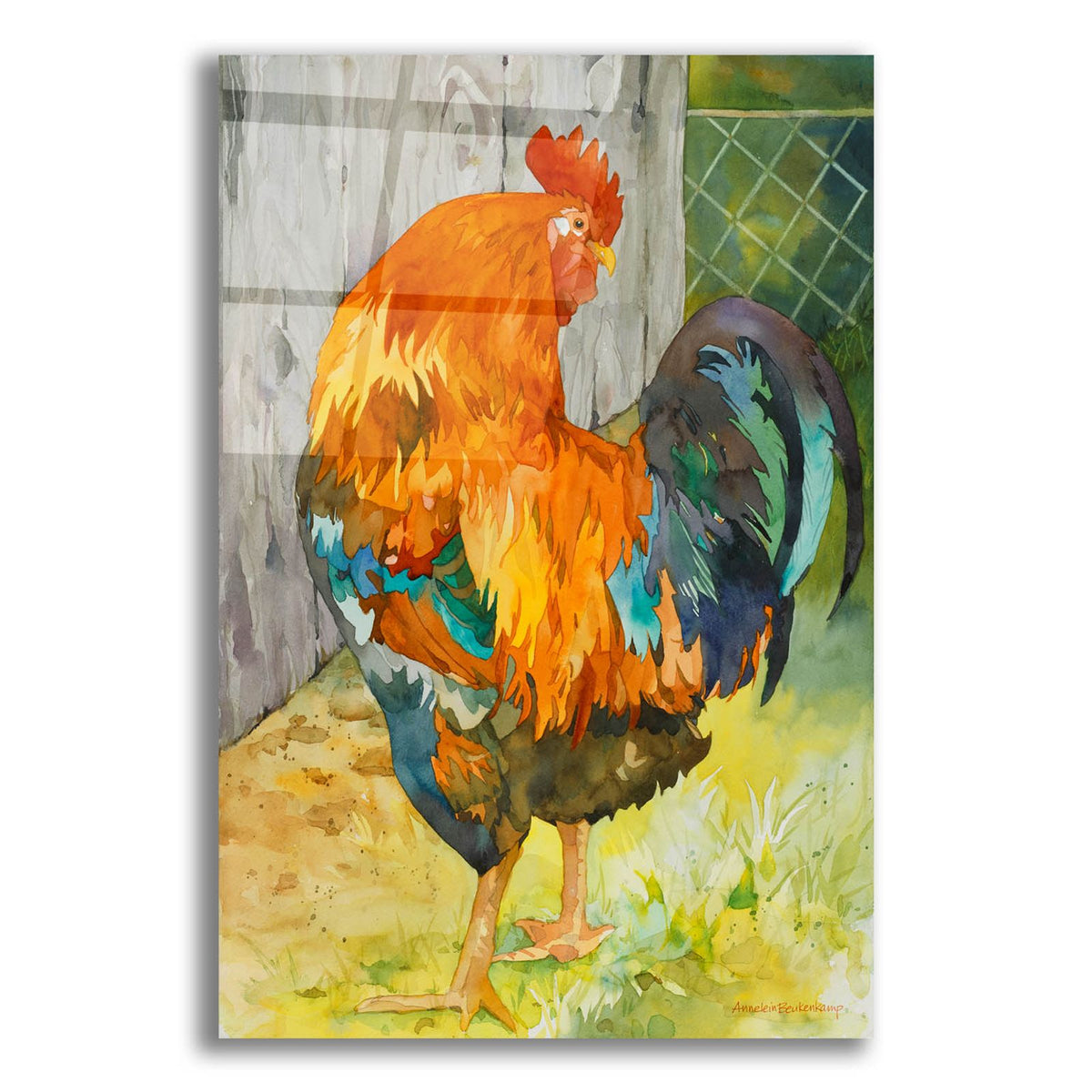 Rooster Pen by Annelein Beukenkamp acrylic glass wall art