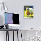 Sheep 1 by Annelein Beukenkamp - 12x16 acrylic wall art in a room