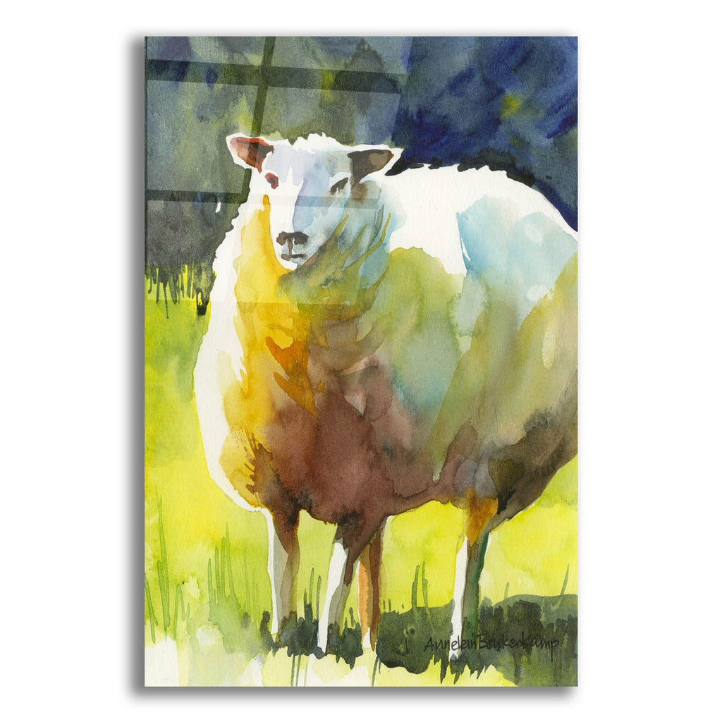 Sheep 1 by Annelein Beukenkamp acrylic glass wall art