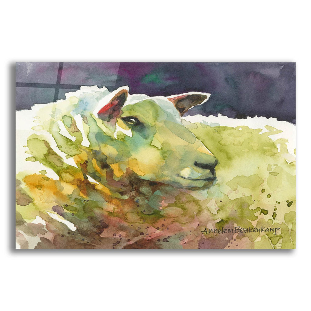 Sheep 3 by Annelein Beukenkamp acrylic glass wall art