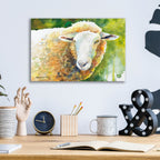 Sheep 4 by Annelein Beukenkamp - 16x12 acrylic wall art in a room