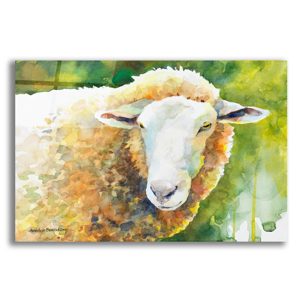 Sheep 4 by Annelein Beukenkamp acrylic glass wall art
