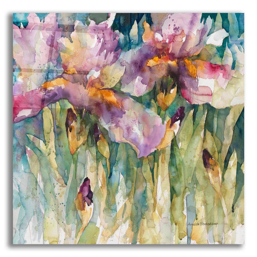Siberian Iris by Annelein Beukenkamp acrylic glass wall art