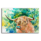 Steer 2 by Annelein Beukenkamp acrylic glass wall art