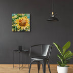 Sunflower by Annelein Beukenkamp - 24x24 acrylic wall art in a room