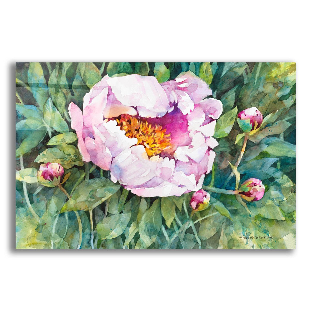 The Pleasure Of Peonies by Annelein Beukenkamp acrylic glass wall art