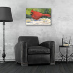 Winter Cardinal by Annelein Beukenkamp - 24x16 acrylic wall art in a room