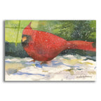 Winter Cardinal by Annelein Beukenkamp acrylic glass wall art