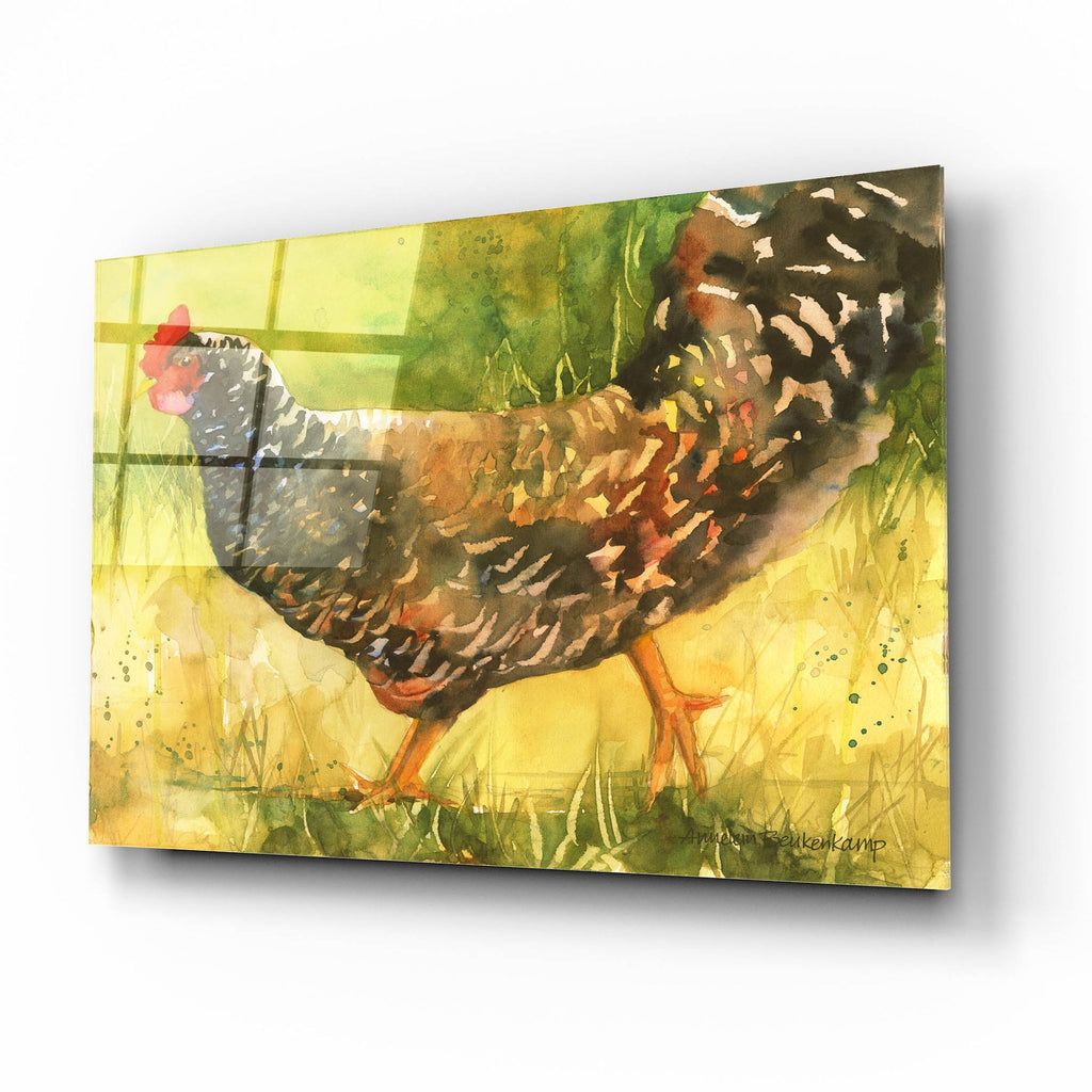 Epic Art 'Wyandotte Hen'  by Annelein Beukenkamp Acrylic Glass Wall Art,16x12