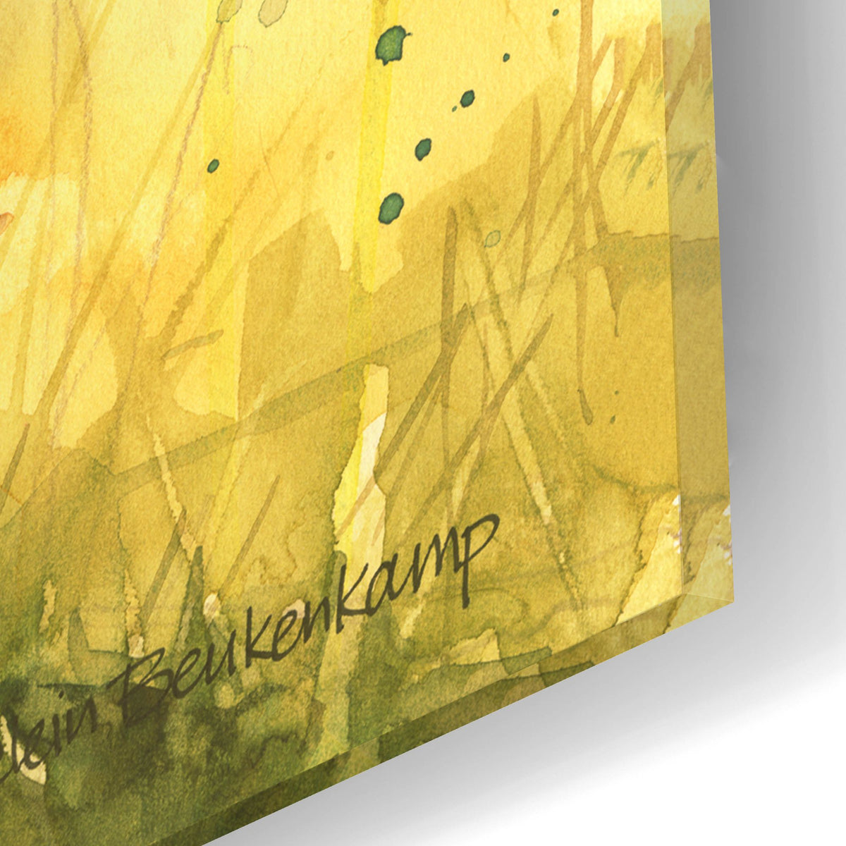 Epic Art 'Wyandotte Hen'  by Annelein Beukenkamp Acrylic Glass Wall Art,16x12