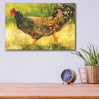 Epic Art 'Wyandotte Hen'  by Annelein Beukenkamp Acrylic Glass Wall Art,16x12