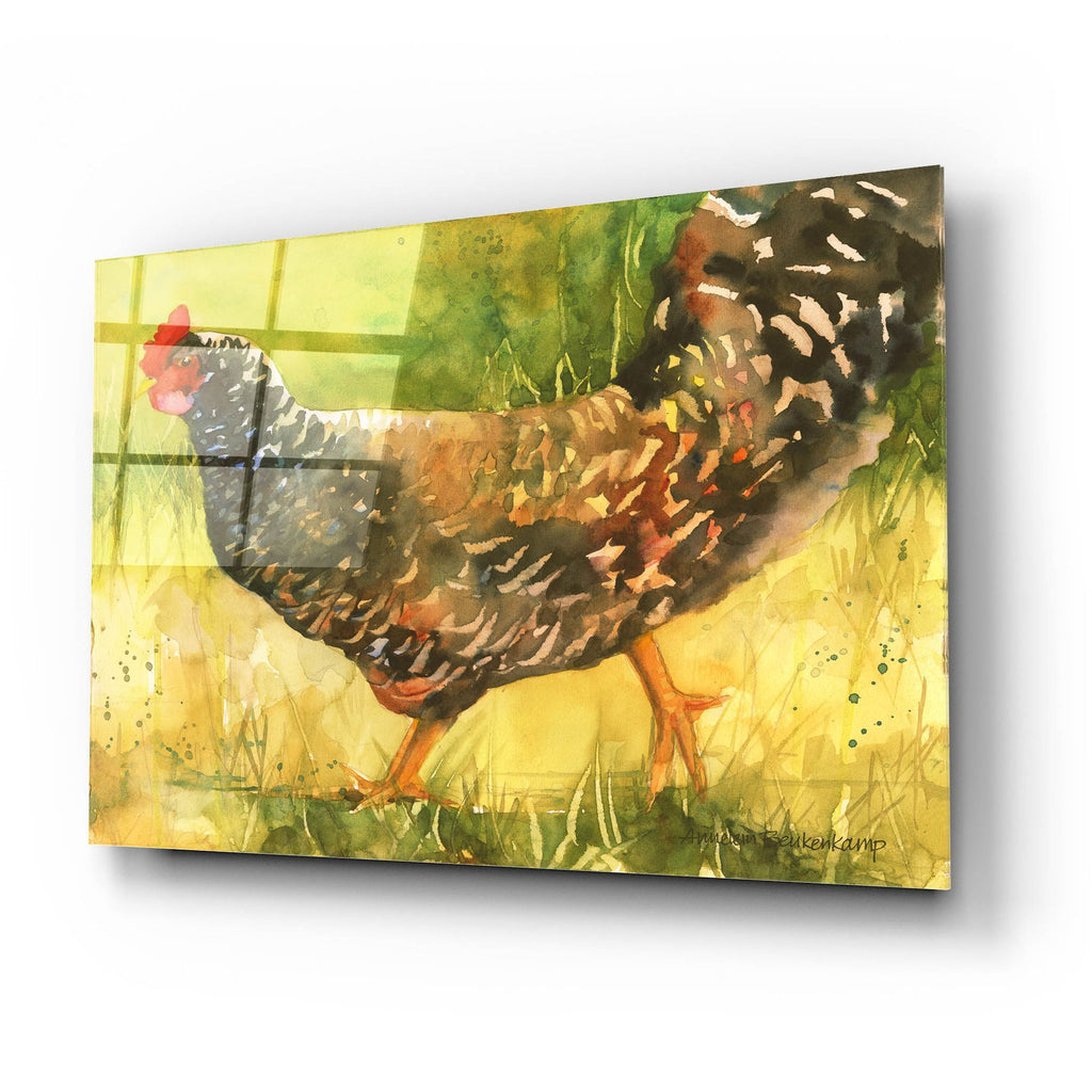 Epic Art 'Wyandotte Hen'  by Annelein Beukenkamp Acrylic Glass Wall Art,24x16