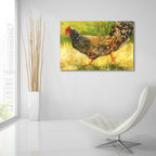 Epic Art 'Wyandotte Hen'  by Annelein Beukenkamp Acrylic Glass Wall Art,36x24