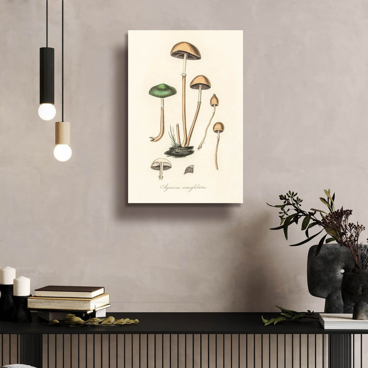 Agaricus Semiglobatus by Art Licensing Studio - 16x24 acrylic wall art in a room