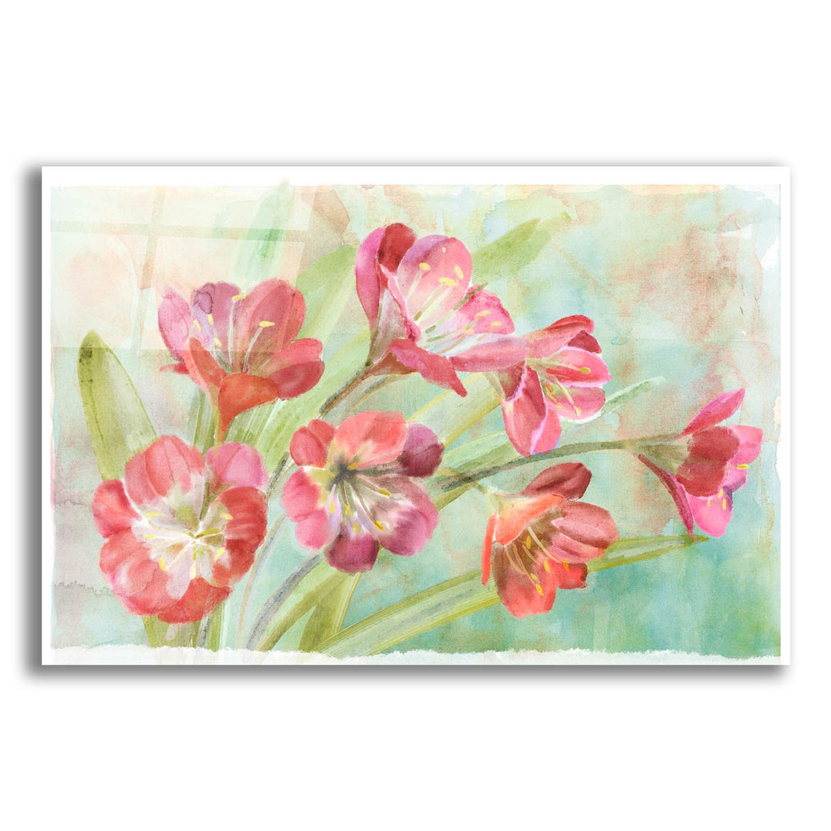 Bowing Clevia by Art Licensing Studio acrylic glass wall art