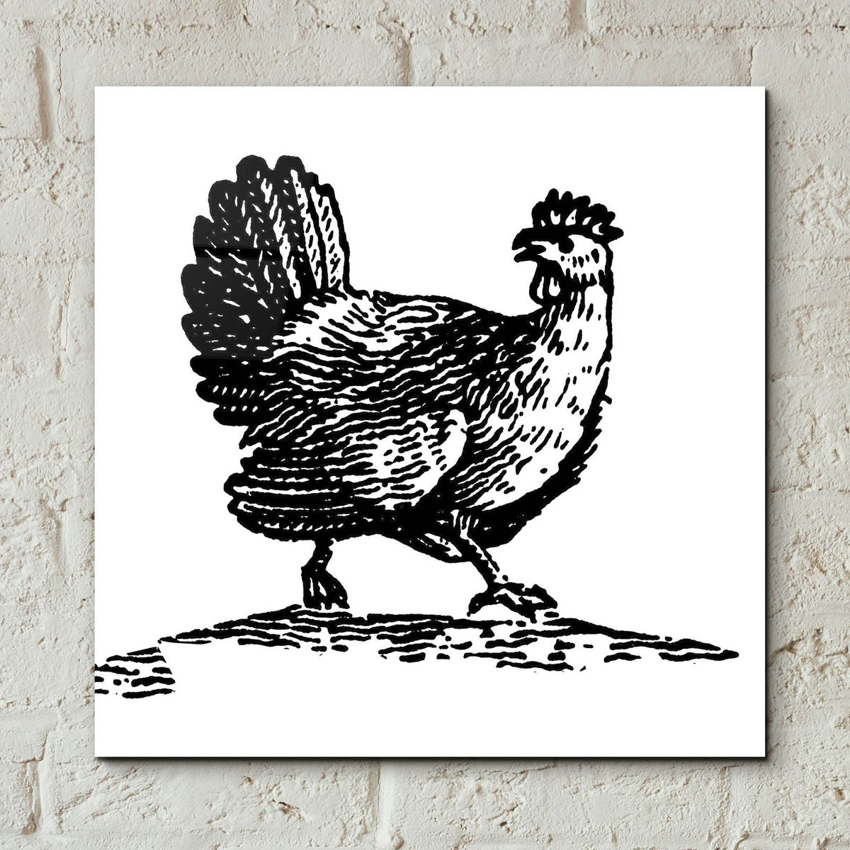 Chicken Astray by Art Licensing Studio - 12x12 acrylic wall art in a room
