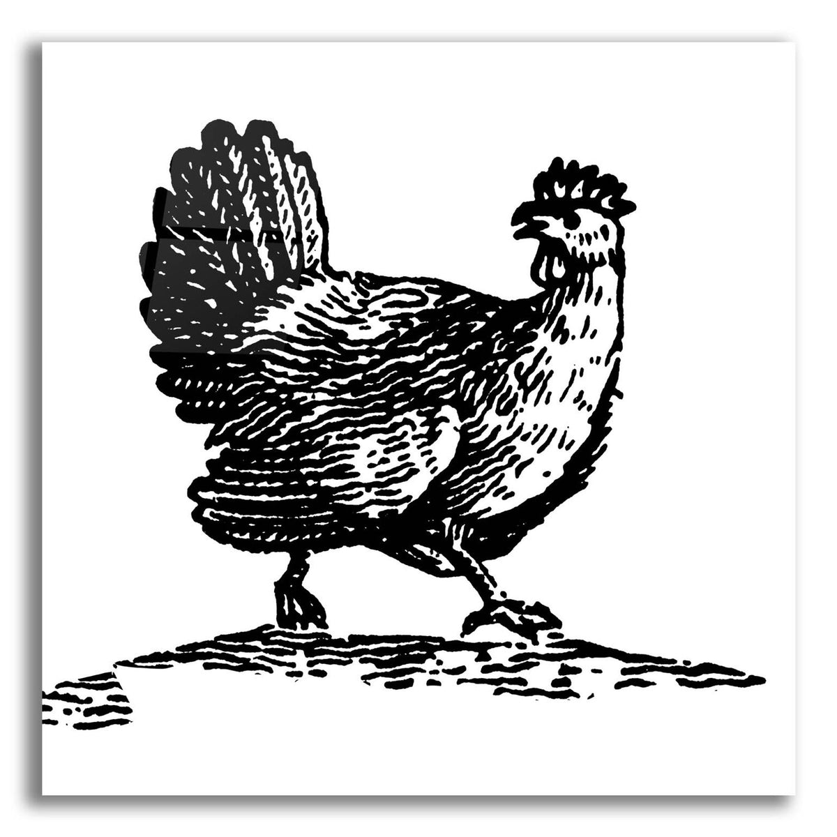 Chicken Astray by Art Licensing Studio acrylic glass wall art