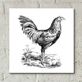 Chicken In The Yard by Art Licensing Studio - 12x12 acrylic wall art in a room