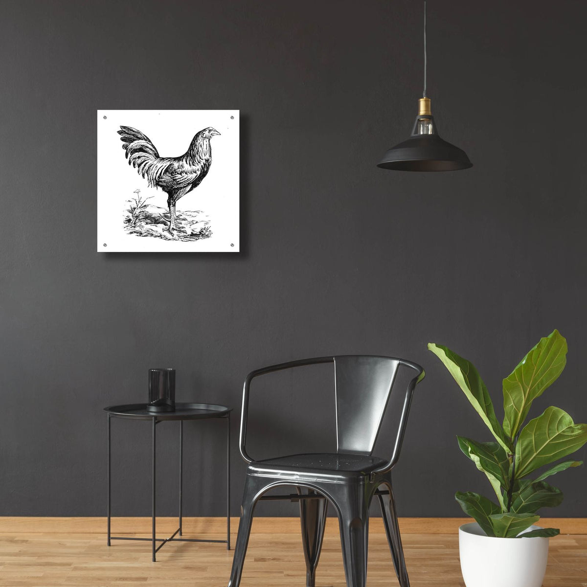 Chicken In The Yard by Art Licensing Studio - 24x24 acrylic wall art in a room
