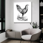 Chicken In The Yard by Art Licensing Studio - 36x36 acrylic wall art in a room