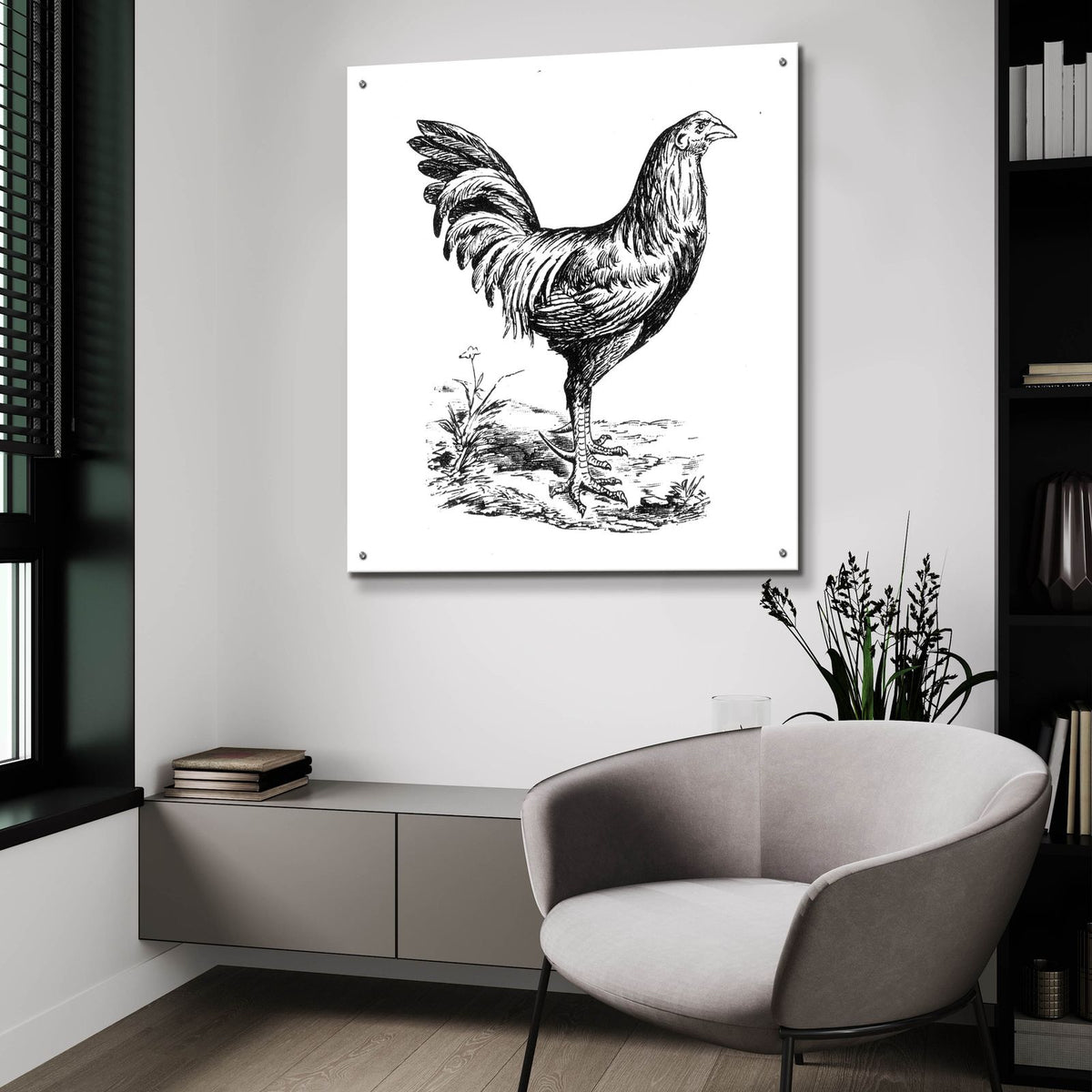 Chicken In The Yard by Art Licensing Studio - 36x36 acrylic wall art in a room