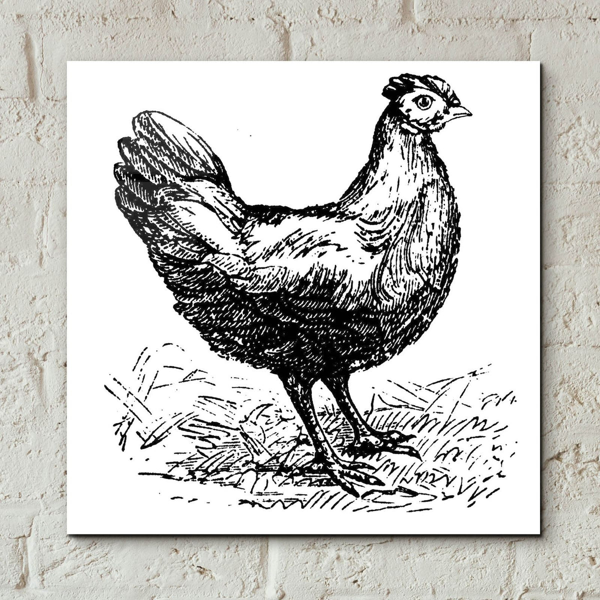 Chicken Scratch by Art Licensing Studio - 12x12 acrylic wall art in a room