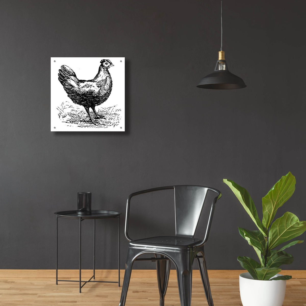 Chicken Scratch by Art Licensing Studio - 24x24 acrylic wall art in a room