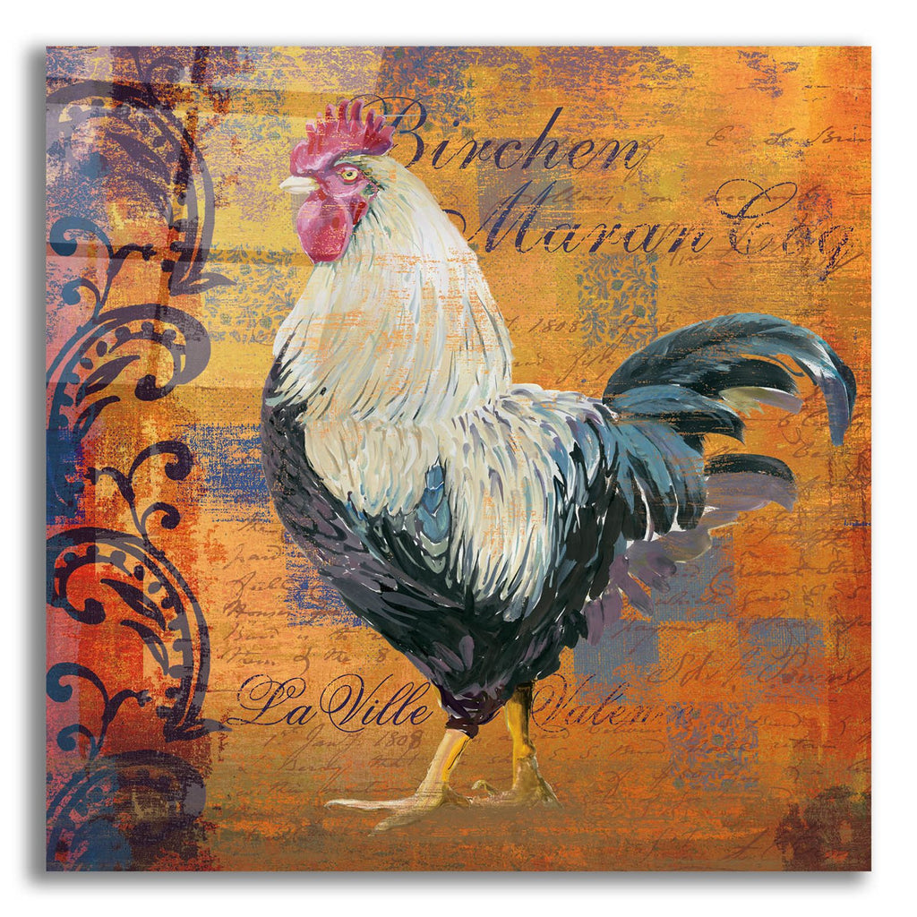 Coq Motifs 3 by Art Licensing Studio acrylic glass wall art