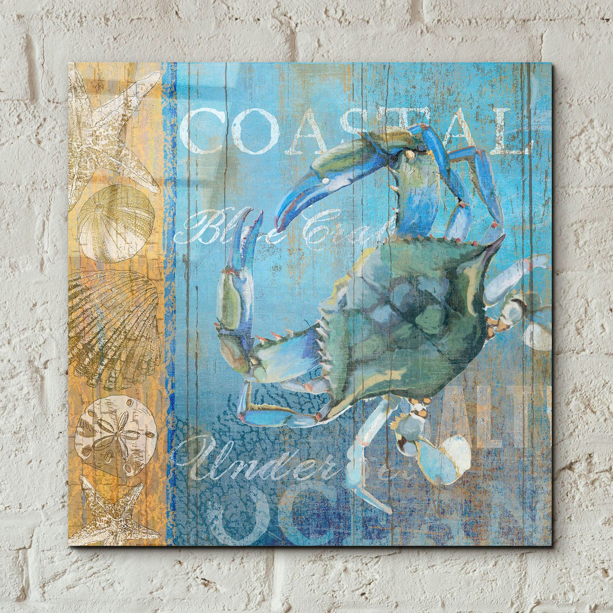 Crab And Sea by Art Licensing Studio - 12x12 acrylic wall art in a room