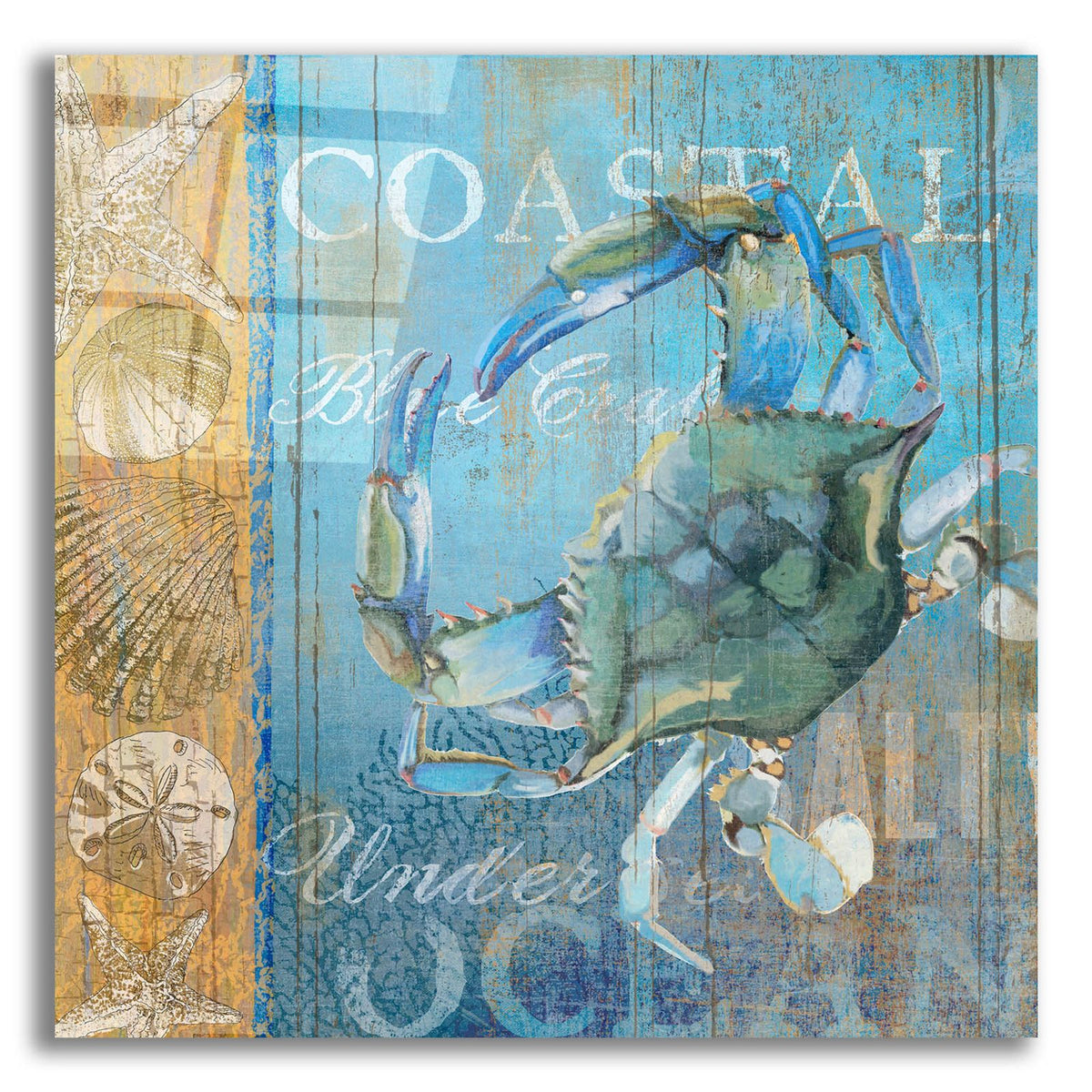 Crab And Sea by Art Licensing Studio acrylic glass wall art