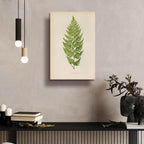 Davallia Tenuifolia by Art Licensing Studio - 16x24 acrylic wall art in a room