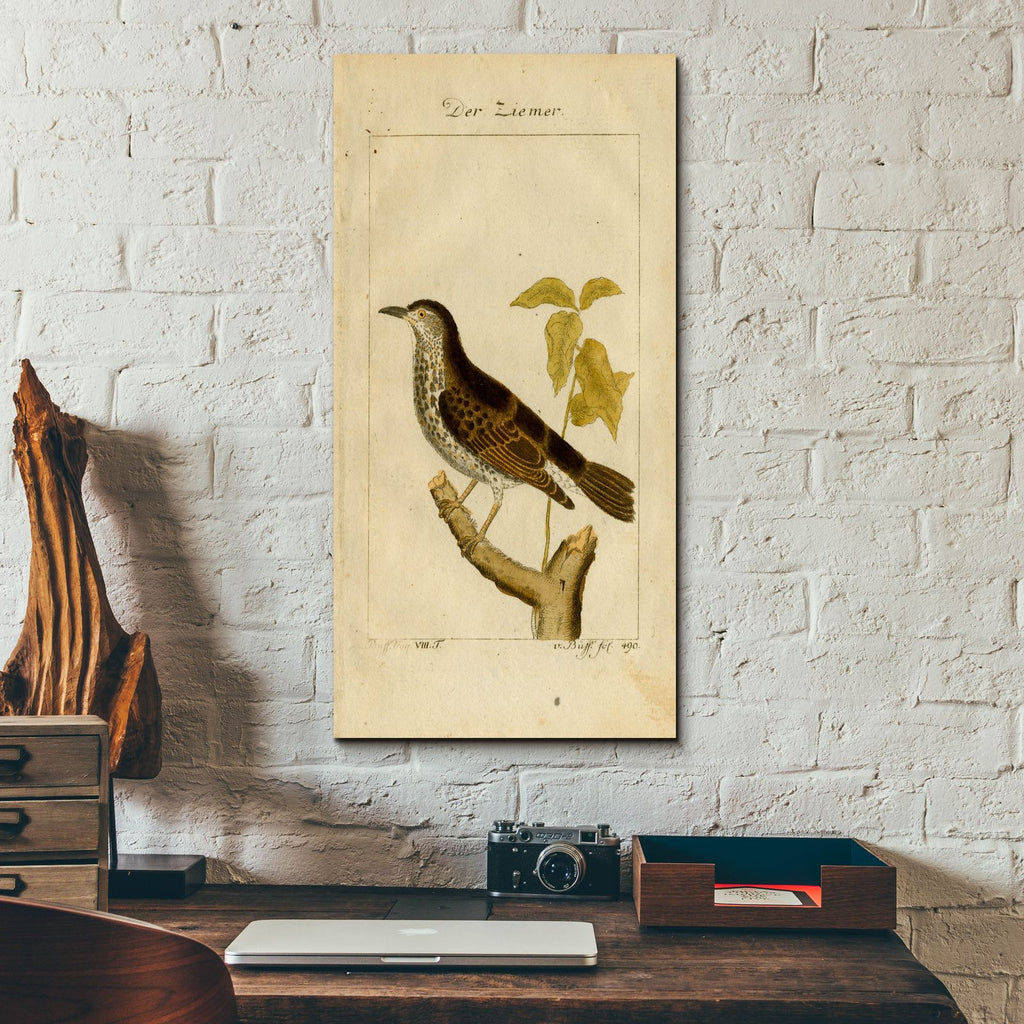 Der Ziemer by Art Licensing Studio - 12x24 acrylic wall art in a room