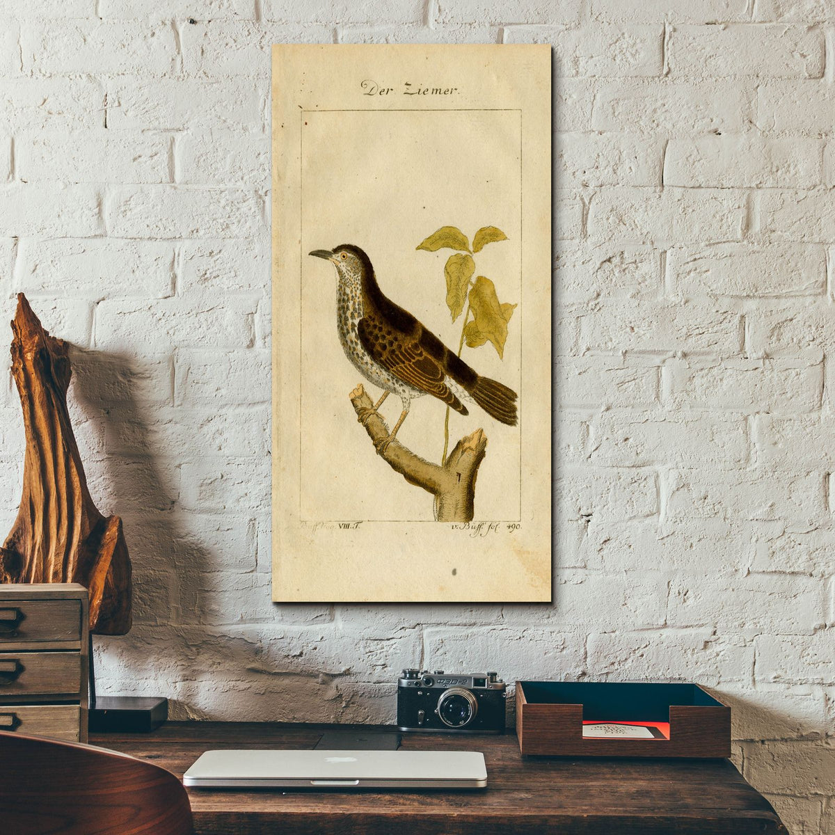 Der Ziemer by Art Licensing Studio - 12x24 acrylic wall art in a room