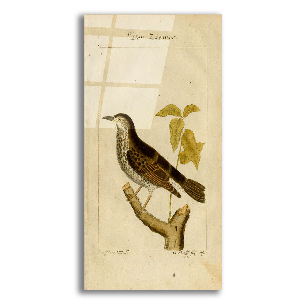 Der Ziemer by Art Licensing Studio acrylic glass wall art