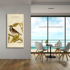 Die Rothdrosfel by Art Licensing Studio - 24x48 acrylic wall art in a room