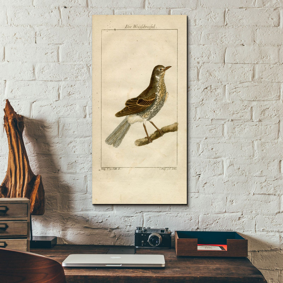 Die Weisfdrosfel by Art Licensing Studio - 12x24 acrylic wall art in a room