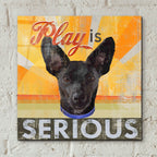 Dog Days - Llittle Black Pup by Art Licensing Studio - 12x12 acrylic wall art in a room
