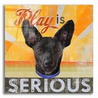 Dog Days - Llittle Black Pup by Art Licensing Studio acrylic glass wall art