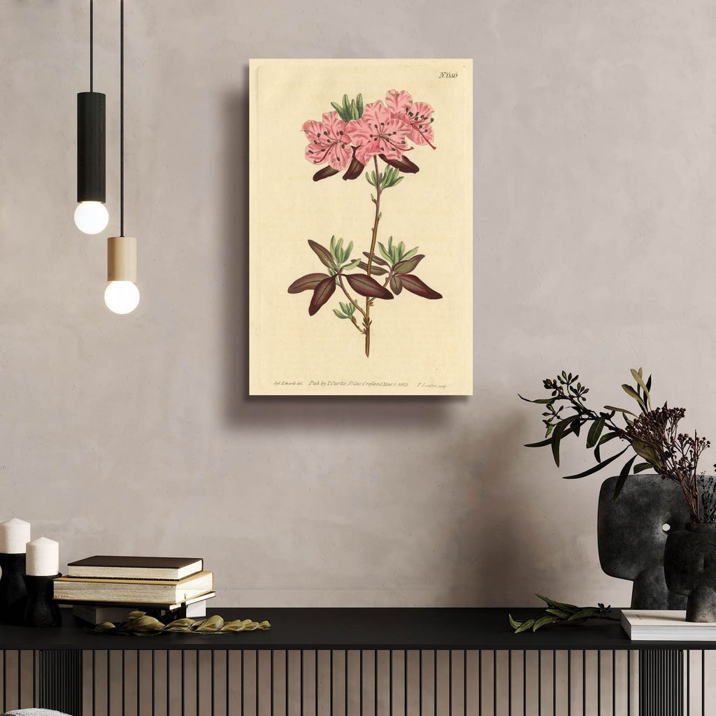 Dotted Leaved Rhododendron by Art Licensing Studio - 16x24 acrylic wall art in a room