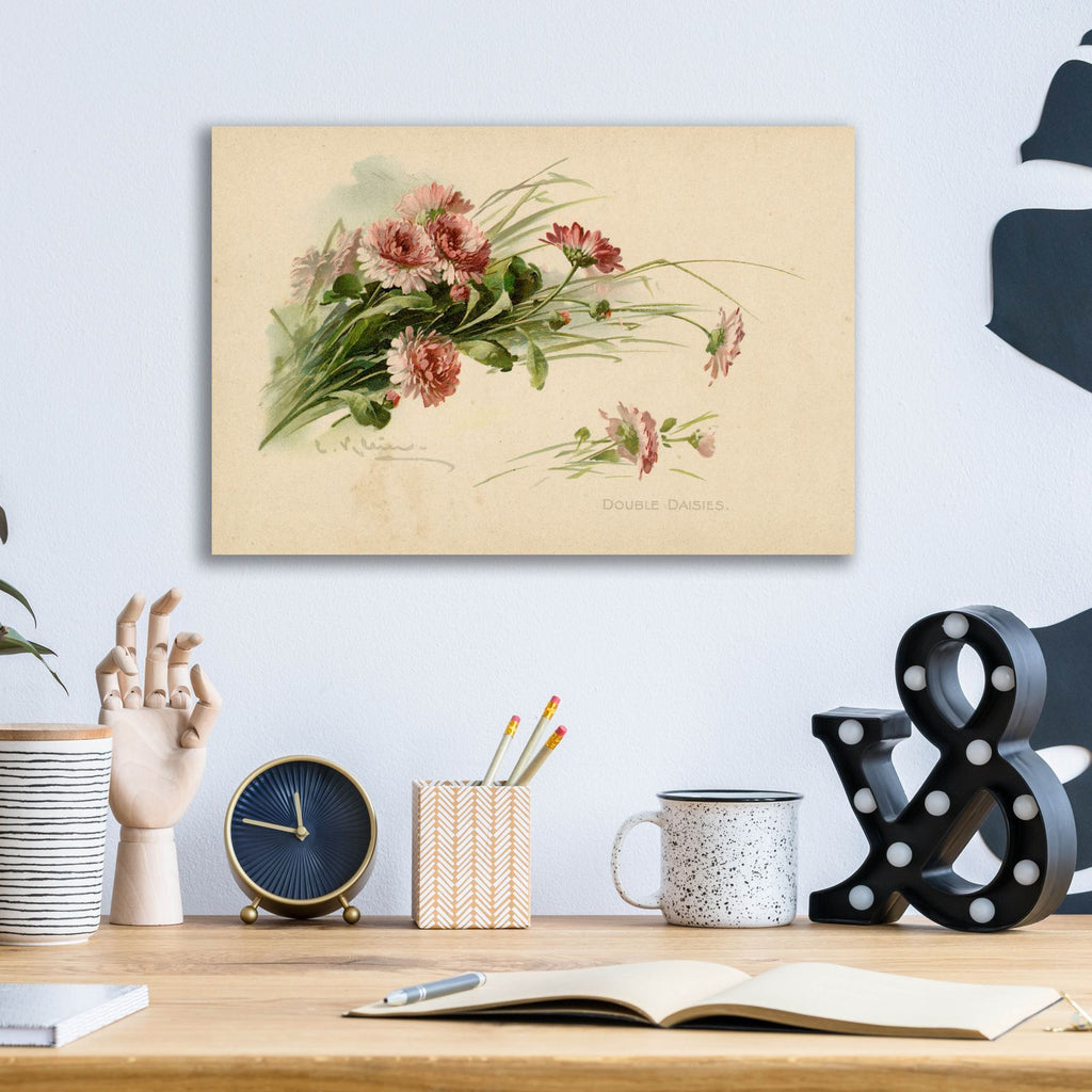 Double Daisies Color by Art Licensing Studio - 16x12 acrylic wall art in a room