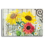 Farm Seed Sunflowers by Art Licensing Studio acrylic glass wall art