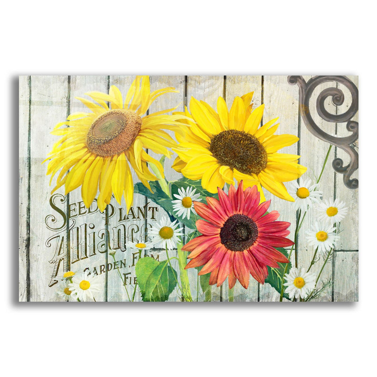 Farm Seed Sunflowers by Art Licensing Studio acrylic glass wall art